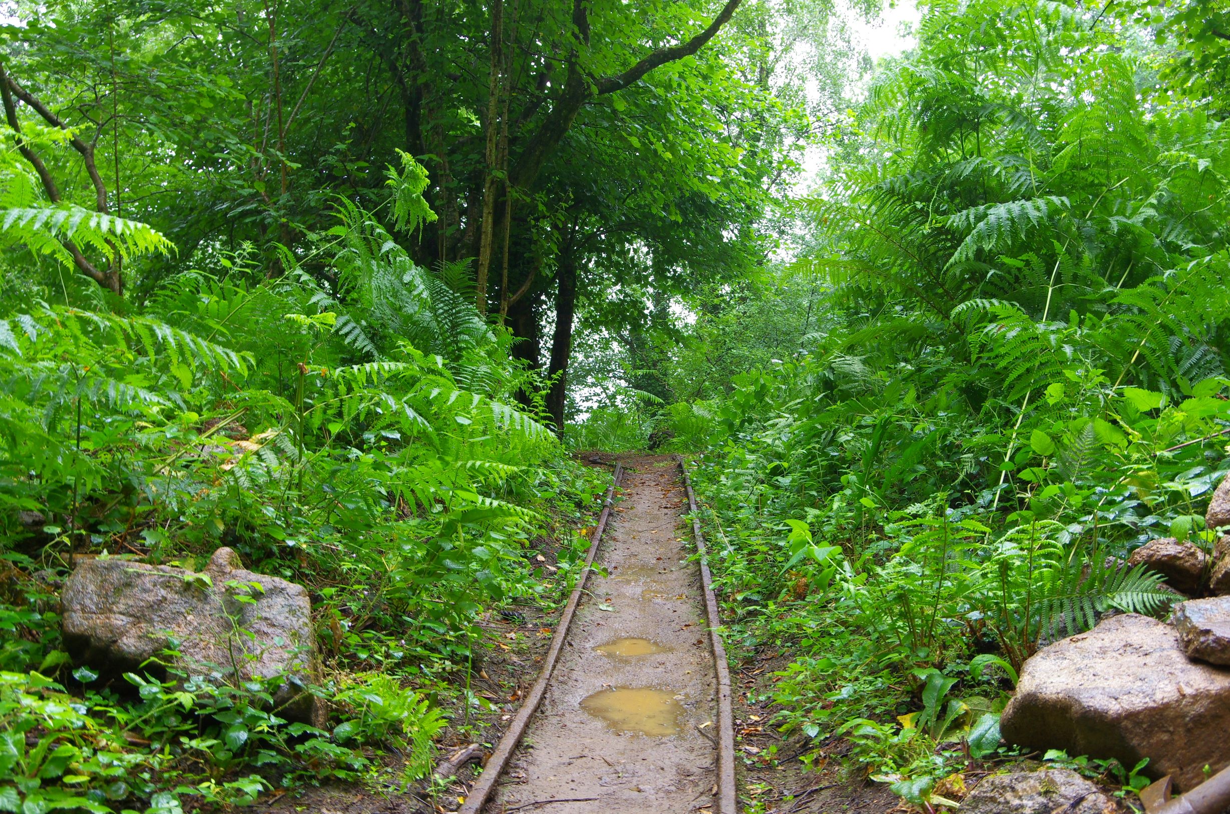 Track bed